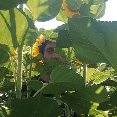 le rose e il deserto