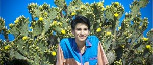 phum viphurit, bangarang