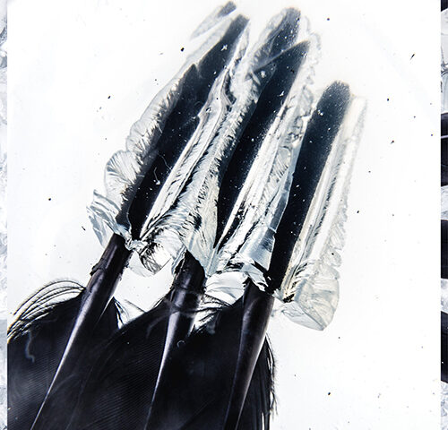 Pugile, “Icarian”: la recensione