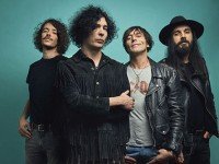 The Zen Circus: raccolta e instore tour