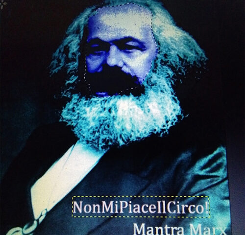 NonMiPiaceIlCirco: intervista e recensione