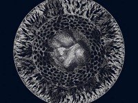 San Leo, “Y”: la recensione