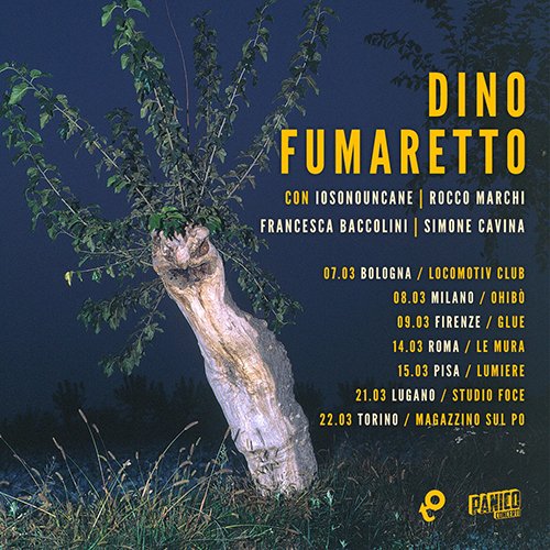 dino fumaretto
