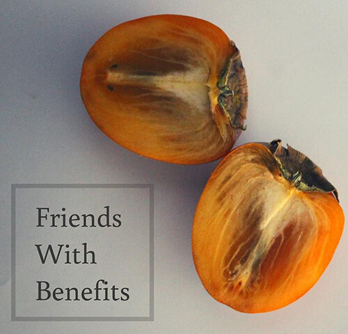 Former Friends: “Friends with benefits” è il nuovo singolo