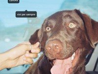 Canova, “Vivi per Sempre”: recensione e streaming