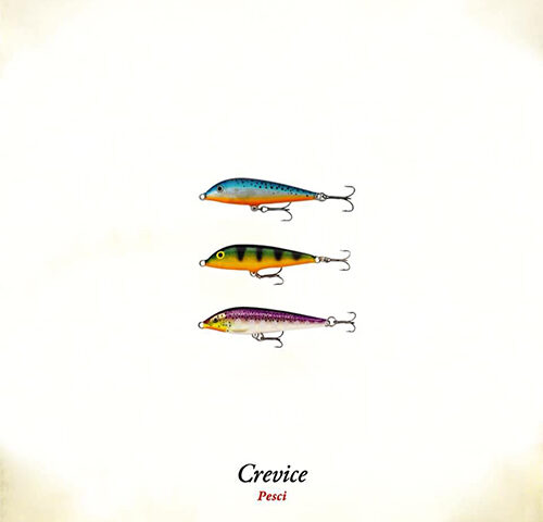 Crevice, “Pesci”: la recensione