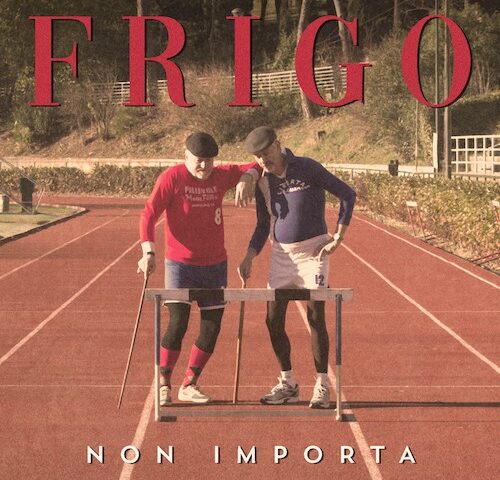 Frigo, “Non importa”: la recensione