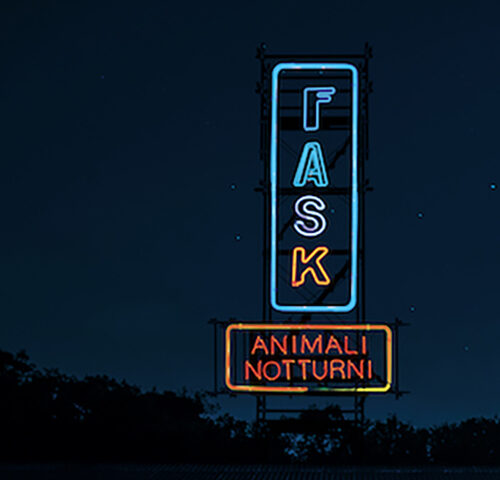 Fast Animals and Slow Kids, “Animali notturni”: la recensione