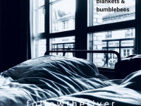 followtheriver, “blankets & bumblebees”: recensione e streaming