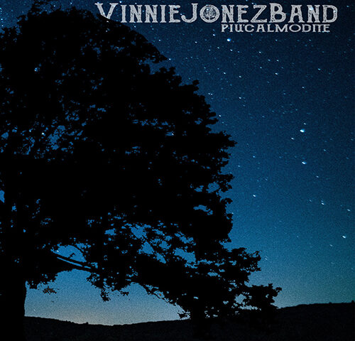 Vinnie Jonez Band, “Più calmo di te”: la recensione
