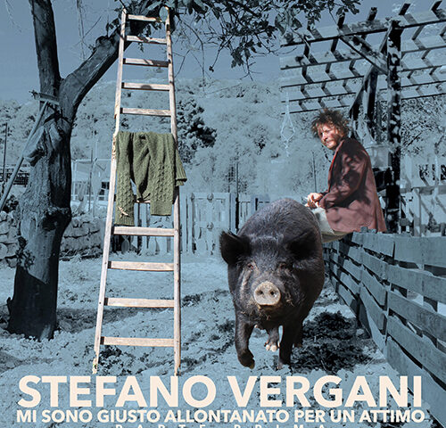 Stefano Vergani, “Mi sono giusto allontanato per un attimo (parte prima)”: la recensione