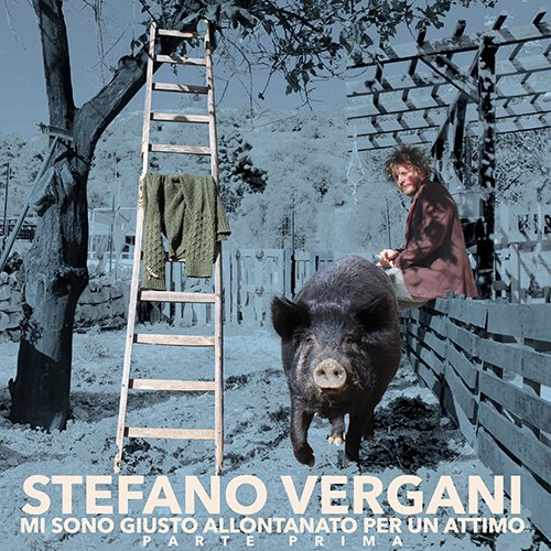 stefano vergani