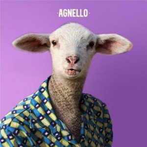 agnello