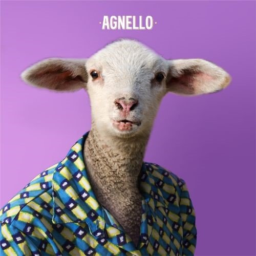 agnello