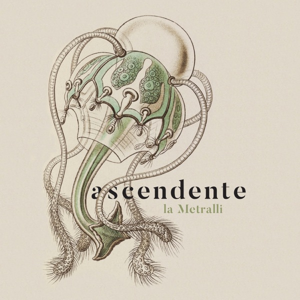 La Metralli, "Ascendente": la recensione