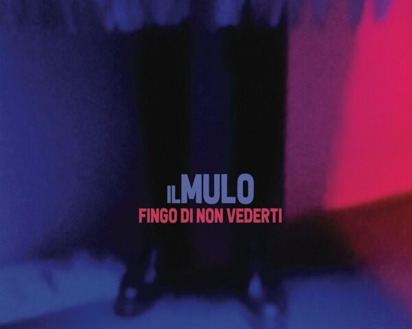 Il Mulo, “Fingo di non vederti”: la recensione
