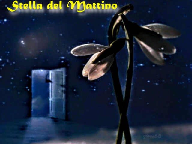 Patrizia Kolombo: “Stella del mattino” è il nuovo singolo