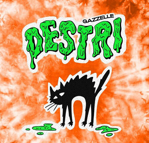 Gazzelle: “Destri” è il nuovo singolo