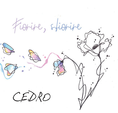 Cedro, “Fiorire, sfiorire”: la recensione