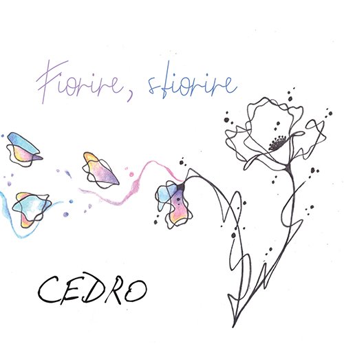 cedro