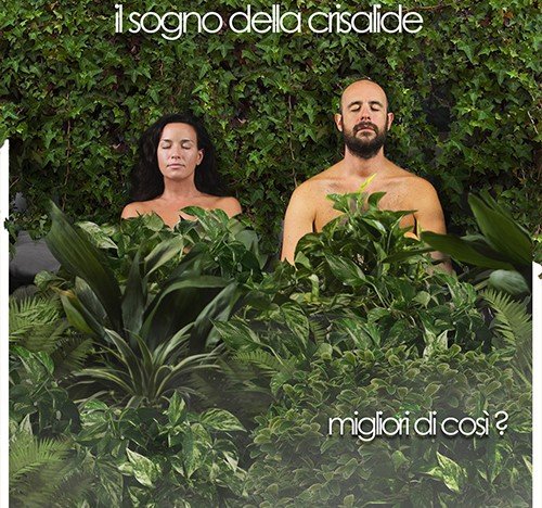 il sogno della crisalide