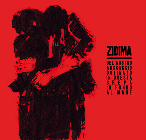 ZiDima, “Del nostro abbraccio ostinato in questa crepa in fondo al mare”: la recensione