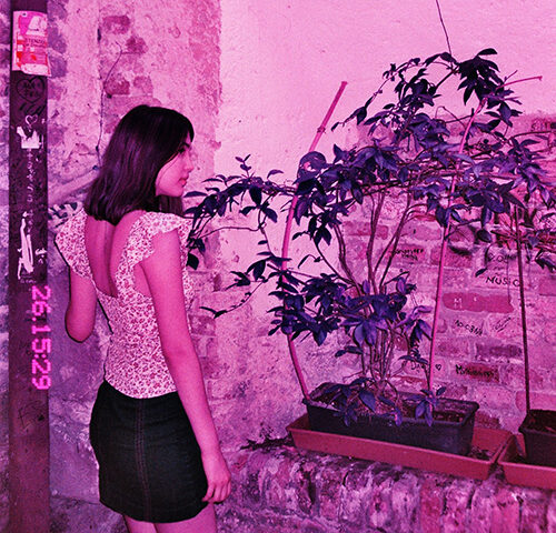 Minerva: “Edera” è il nuovo singolo