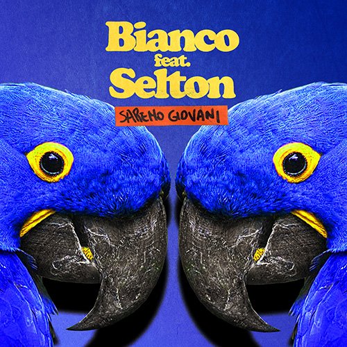 bianco selton