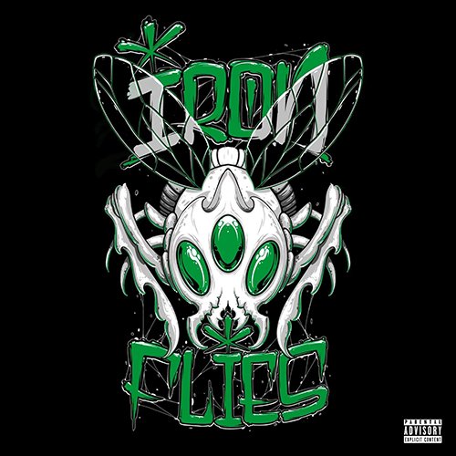 iron flies army
