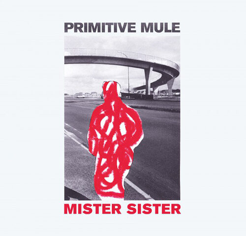 Primitive Mule, “Mister Sister”: la recensione