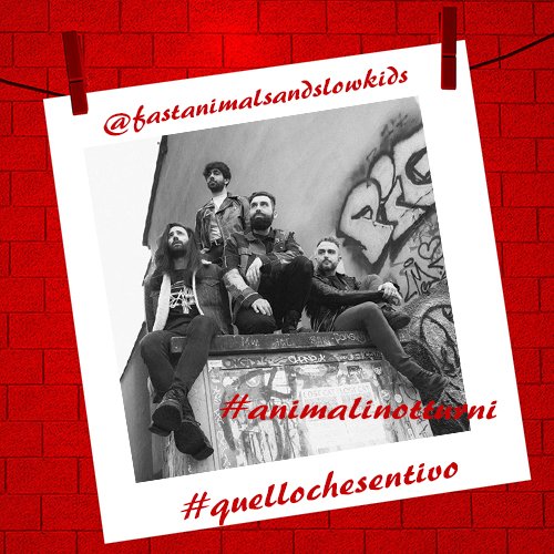 Fast Animals and slow kids: “Animali notturni” #quellochesentivo
