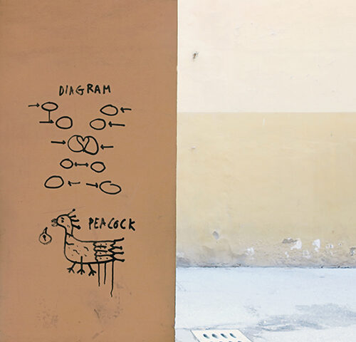 Altre di B: “Diagram/Peacock” è il nuovo doppio singolo