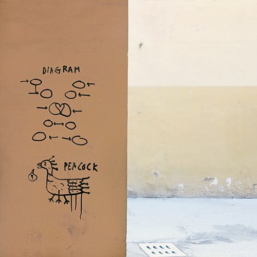 Altre di b: il nuovo singolo è "Diagram/peacock"