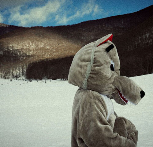 Fast Animals and Slow Kids: “Come un animale” è il nuovo singolo