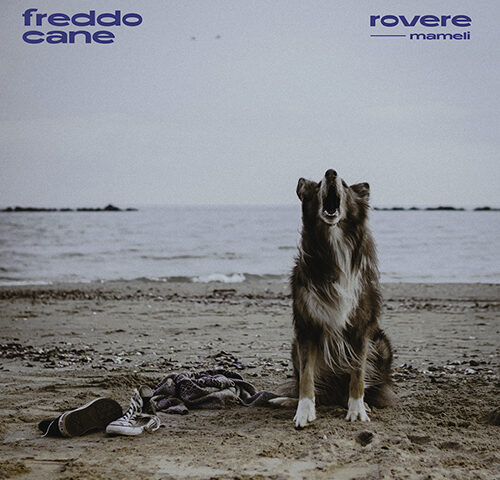 rovere feat. Mameli: “Freddo Cane” è il nuovo singolo
