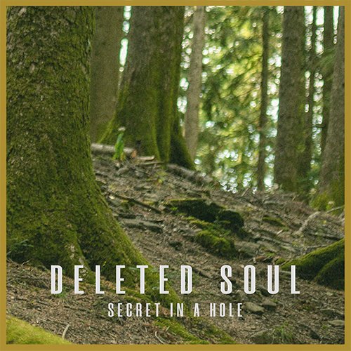 Deleted Soul: "Secret in a Hole" è il nuovo singolo