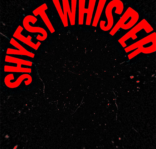 Savnko: ho tanta musica in cantiere