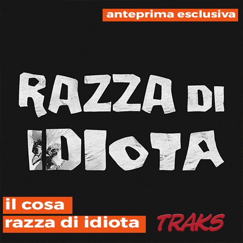 il cosa: "Razza di idiota" in anteprima esclusiva