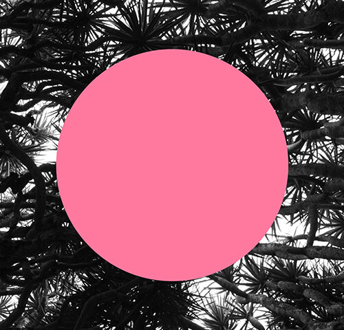 Sacrobosco: “Both Sides of the sky” è il nuovo video