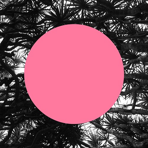Sacrobosco: “Both Sides of the sky” è il nuovo video