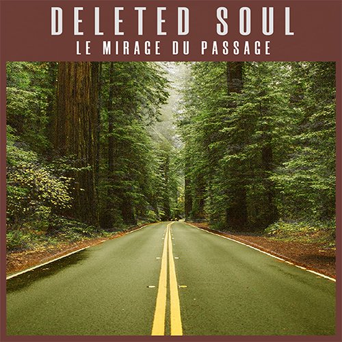 deleted soul