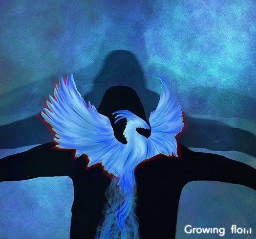 growing flow: "Fenice" è il nuovo video