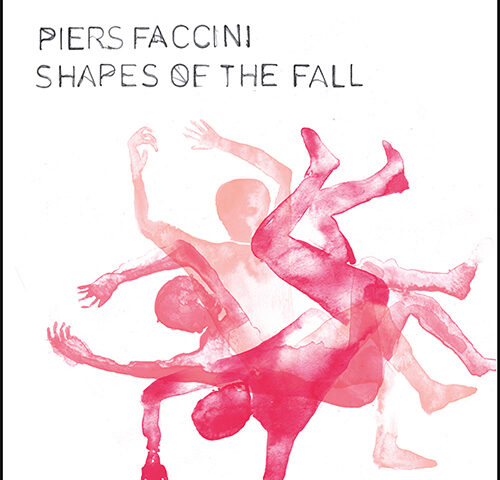 Piers Faccini, “Shapes of the Fall”: la recensione