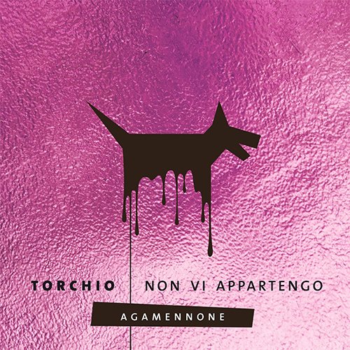 torchio: "Non vi appartengo" è il nuovo singolo