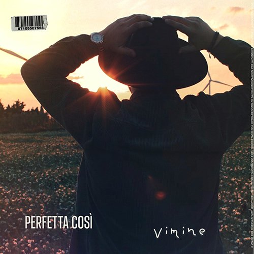 vimine: "perfetta così" è il nuovo singolo