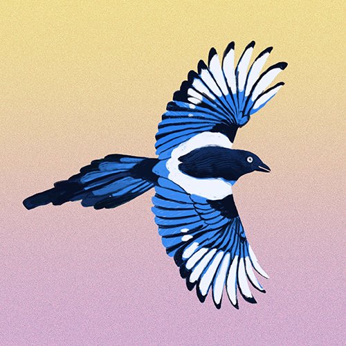 Paul Giorgi: "Gazza" è il nuovo singolo