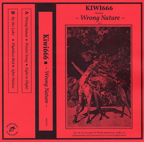 kiwi666
