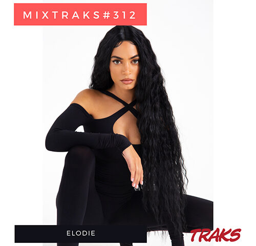 mixtraks #312: la playlist che giocava a basket con Brunetta