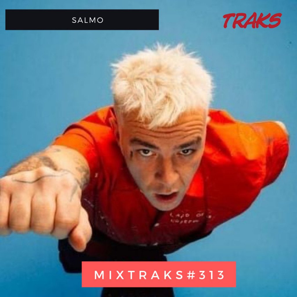MIXTRAKS 313 Salmo