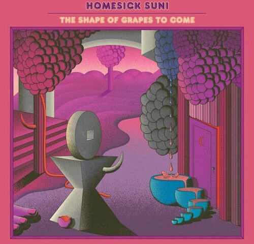 Homesick Suni, “The Shape of Grapes to Come”: la recensione